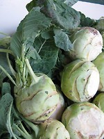 Kohlrabi - Gemüse