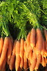 Möhren / Karotten / Wurzeln - Gemüse